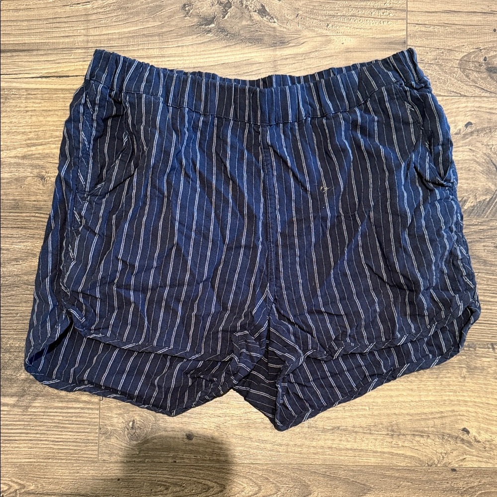 Bridge & Burn Striped Navy Blue Shorts